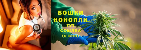 соль ск Зеленодольск