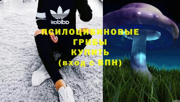 соль ск Зеленодольск