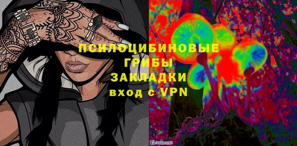 соль ск Зеленодольск