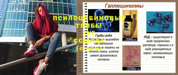 соль ск Зеленодольск