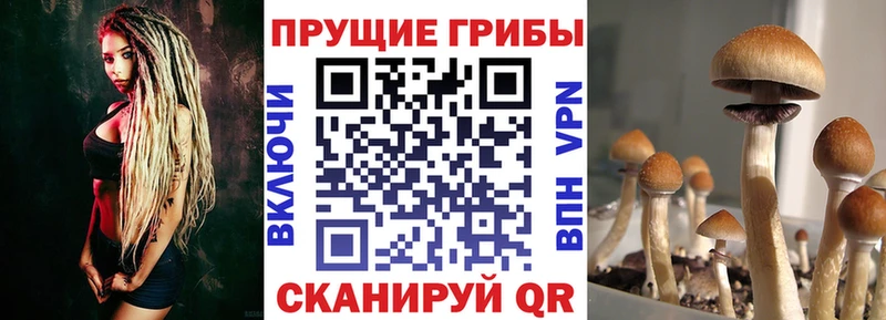 Купить Ливны Псилоцибиновые грибы мухоморы